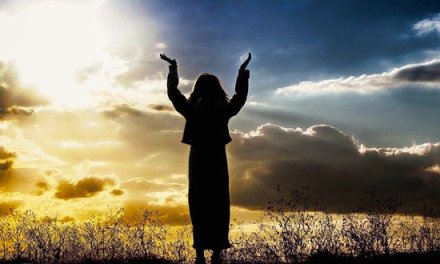 Fearfully, Wonderfully Made